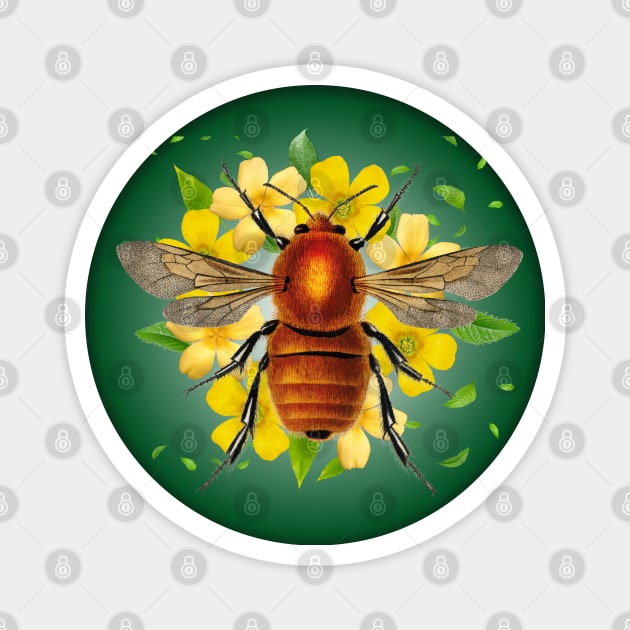 Bee on flowers Magnet by BellaPixel